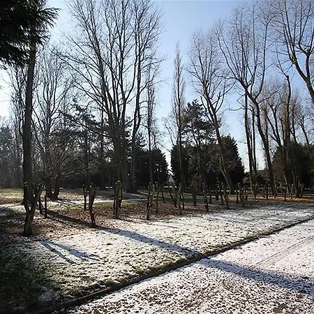 Dahlia Garden 8p * Де-Хаан