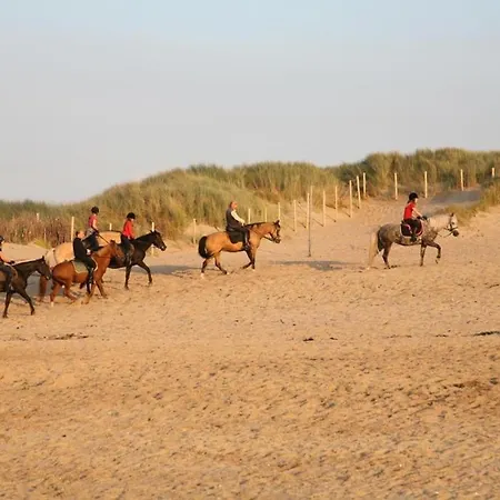 Lägenhet Dahlia Garden 8p
