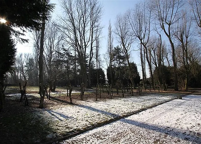 Dahlia Garden 8p * 데한