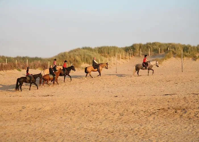 아파트 Dahlia Garden 8p